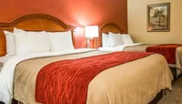 Comfort Inn & Suites Panama C...