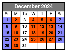 Full Day E-Bike Rental December Schedule