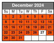 Priv. Transport Kennedy Space December Schedule