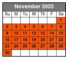 30 Minute Evening Flight November Schedule