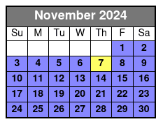 4 Hours Option November Schedule