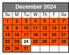 12:00pm December Schedule