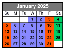 Paddle Pub Daytona Beach January Schedule