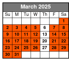 2 Hours Electric Bike Experience on Ft Lauderdale March Schedule