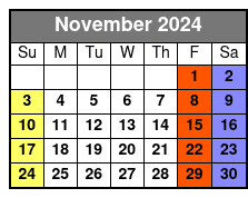 Private Tarot Reading November Schedule