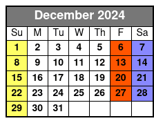 Private Tarot Reading December Schedule