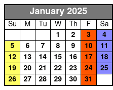 Private Tarot Reading January Schedule