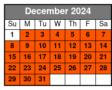 Downtown St Pete Meeting Point December Schedule