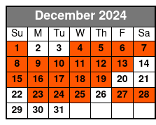 Christmas Lights Wonderland December Schedule