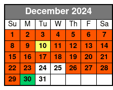 Smoky Mountain Christmas Light Ride December Schedule