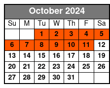 NewYorkSoccerExperience-Short October Schedule