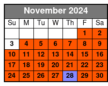 Home Alone 2 and Elf Tour in Central Park November Schedule