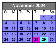 Standard Experience November Schedule