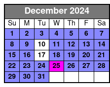 Standard Experience December Schedule