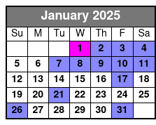 Standard Experience January Schedule