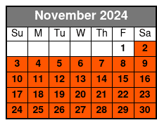 Option 1 November Schedule