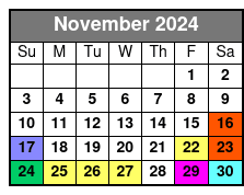 Option November Schedule