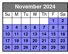 Statue of Liberty Upgrade November Schedule