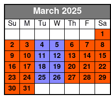 The Edge and St Patrick's March Schedule