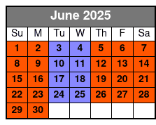 The Edge and St Patrick's June Schedule