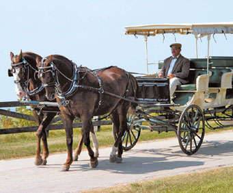 Surrey Hills Carriage Museum on Mackinac Island, MI