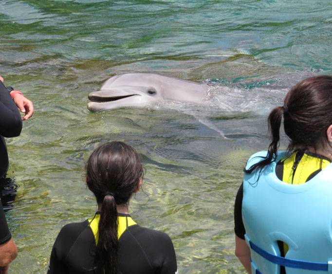 Discovery Cove in Orlando, FL