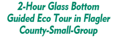 2-Hour Glass Bottom Guided Eco Tour in Flagler County-Small-Group