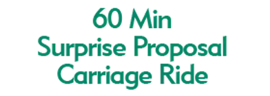 60 Min Surprise Proposal Carriage Ride 2024 Schedule