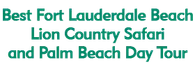 Best Fort Lauderdale Beach, Lion Country Safari and Palm Beach Day Tour