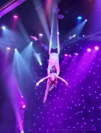 Aerial Artists