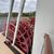 The image shows a close-up view of a red paddle wheel on a boat, with a body of water and greenery in the background.