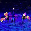 Horses with butterfly wing costumes are being paraded in an illuminated arena, creating a magical and whimsical display.