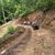 A group of people enjoying an outdoor adventure on all-terrain vehicles along a rugged, forested path.