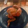 A roasted half chicken is presented on a dark blue plate, ready to be eaten at a restaurant with a reflective wooden table and a paper napkin in the background.