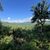 The image shows a verdant forest landscape with rolling hills in the background under a blue sky with scattered clouds.