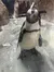 A penguin is standing on an icy surface, looking curiously at the camera.