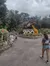 Visitors are walking near a large dinosaur model at the entrance of the San Antonio Zoo.