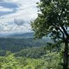 The image captures a lush, green landscape with rolling hills, a dense forest canopy, and a partly cloudy sky, all framed by the branches of a tree in the foreground.