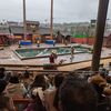 An audience is watching a lumberjack competition at an outdoor venue with log rolling and chainsaw activities.