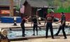 Individuals dressed as lumberjacks are competing in a log rolling event in an outdoor venue with a water pool and lumberjack-themed decorations.