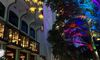 The image captures a vibrant evening scene at a riverside with a colorfully lit tree, architecture featuring balconies with glowing lights, and a dragon boat adding to the picturesque atmosphere.