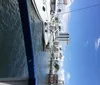 The Harbor with the Jungle Queen Riverboat Fort Lauderdale Sightseeing and Dinner Cruises