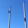 Two individuals are scaling tall poles against a clear blue sky.