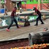 Two individuals in plaid shirts are engaged in a log sawing competition as part of a lumberjack-themed entertainment performance.