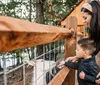 Two children are selecting pumpkins from a pumpkin patch at a farm