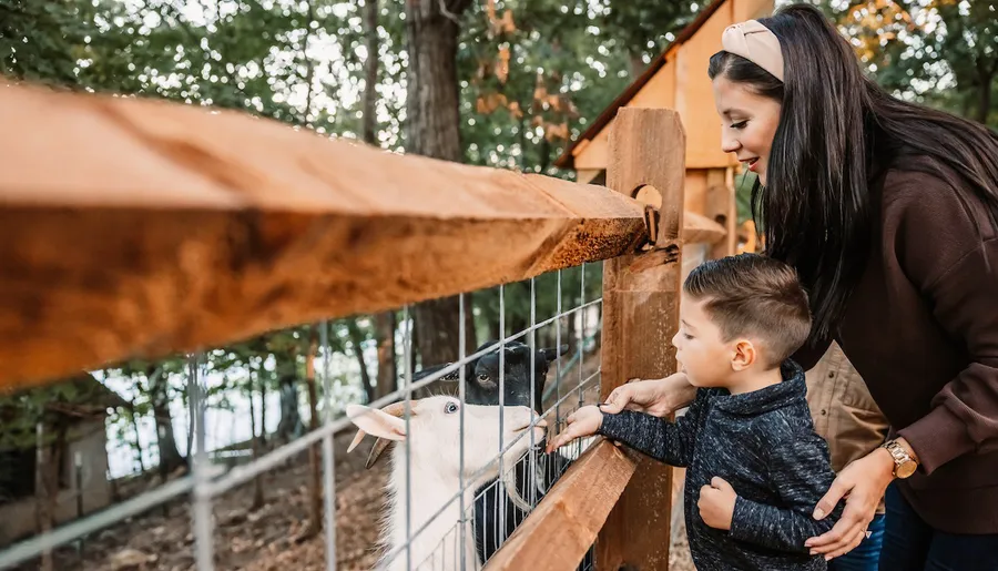 A woman and a young child are interacting with a goat at a fence in a wooded area.