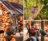 Two children are selecting pumpkins from a pumpkin patch at a farm