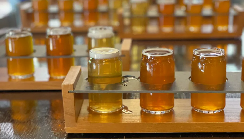 A wooden table displays multiple glasses of beer with varying hues arranged in what appears to be a beer tasting setup