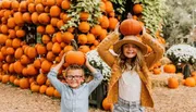 Two smiling children are playfully balancing pumpkins on their heads at a pumpkin patch adorned with numerous pumpkins and autumnal decorations in the background.