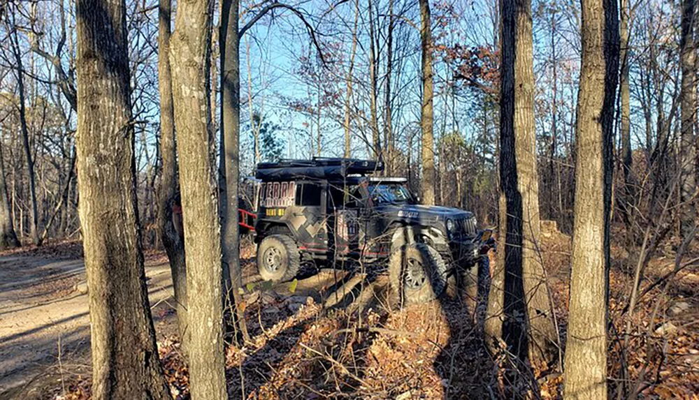 This image shows a rugged off-road vehicle equipped with a roof rack driving through a forest on a dirt path